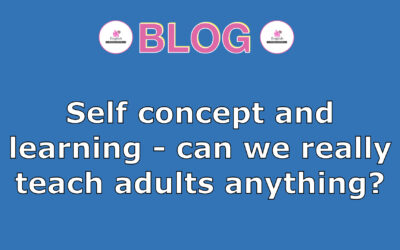 Can we teach adults anything?