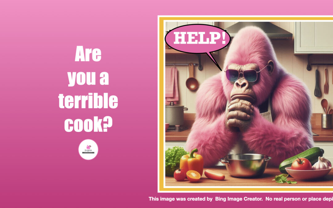 Are you a terrible cook?