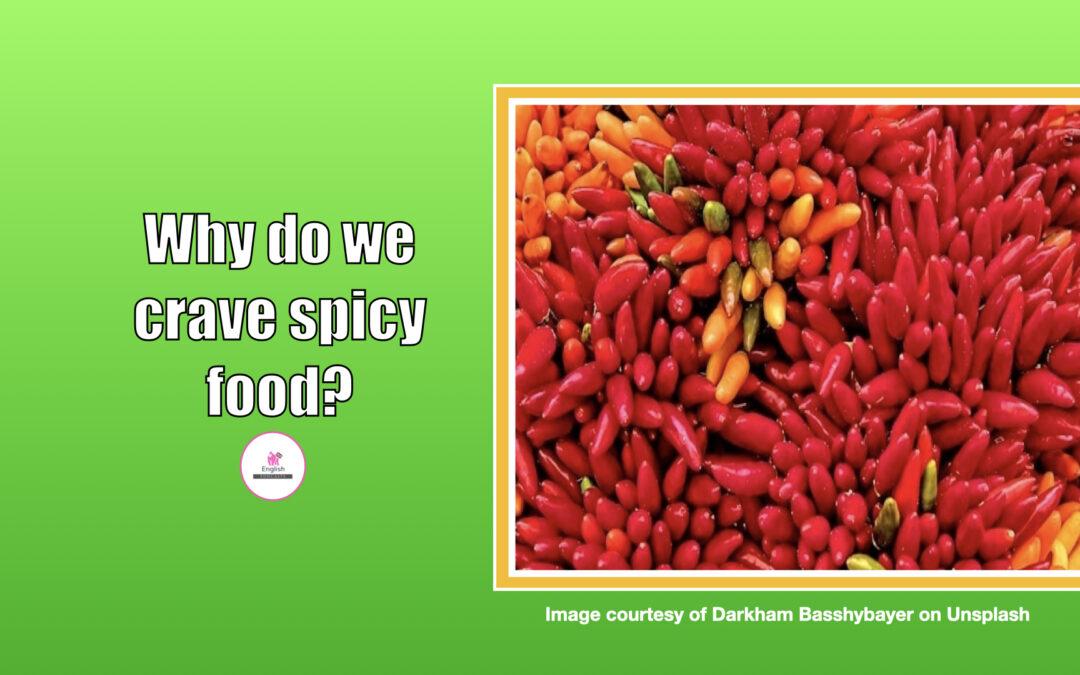 Why do we crave spicy food?